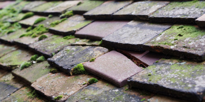 Ancoats roof repair costs